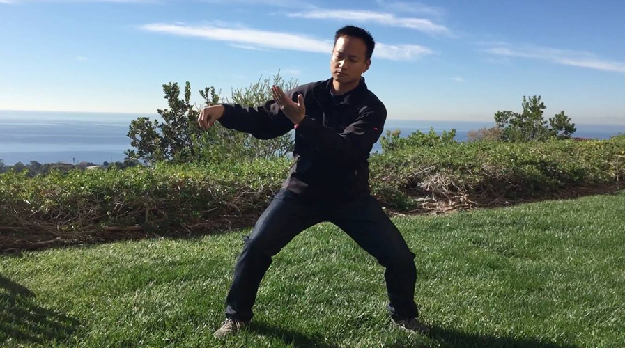 Sifu Michael Lee Wang practicing Wu Style Tai Chi Chuan outdoors